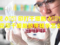 花 🦋 印打干细胞 🌼 的价格（花印干细胞脐带精华怎么样）
